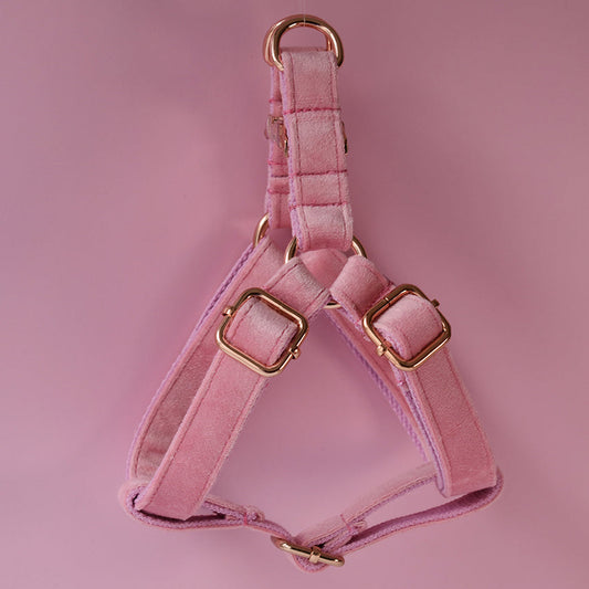 HKM-162323 Flannel Pet Chest Harness with Adjustable Leash for Small to Extra Large Dogs