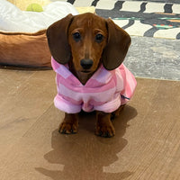 HKM-1626557 Cozy Pink Striped Hooded Sweater for Pets - Autumn and Winter Warmth