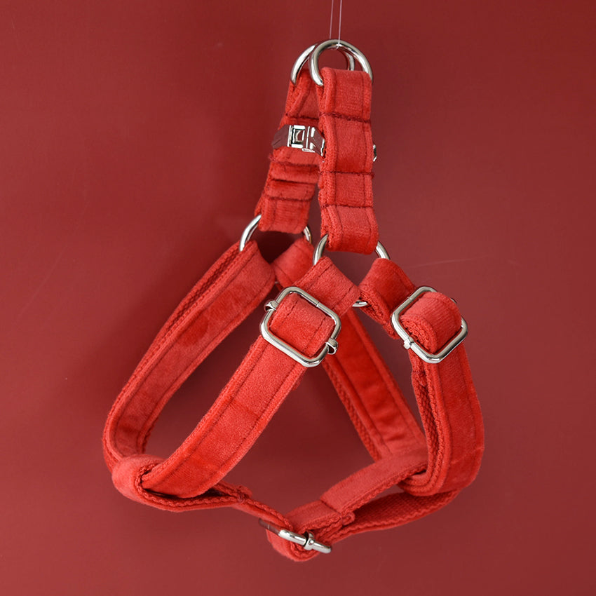 HKM-1627197 Red Flannel Adjustable Dog Harness with Gold Buckle and Matching Leash