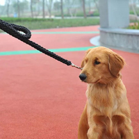 HKM-1627709 Eight-Strand Braided Nylon Dog Leash for Golden Retrievers - Various Sizes Available