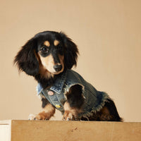HKM-1632445 Maltese Schnauzer Sleeveless Denim Vest with Embroidered Design for Pets