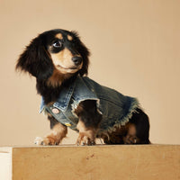 HKM-1632445 Maltese Schnauzer Sleeveless Denim Vest with Embroidered Design for Pets