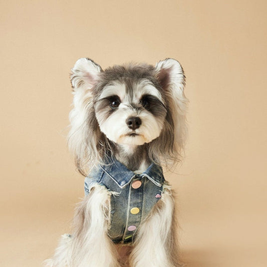 HKM-1632445 Maltese Schnauzer Sleeveless Denim Vest with Embroidered Design for Pets