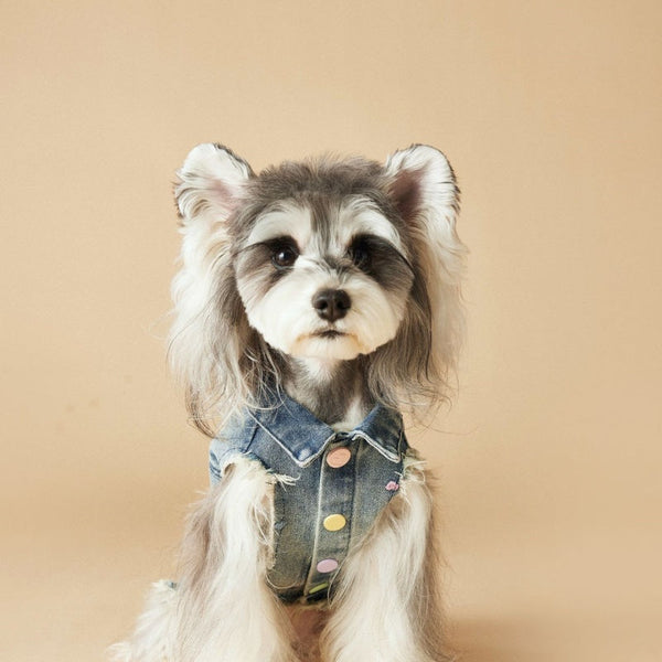 HKM-1632445 Maltese Schnauzer Sleeveless Denim Vest with Embroidered Design for Pets
