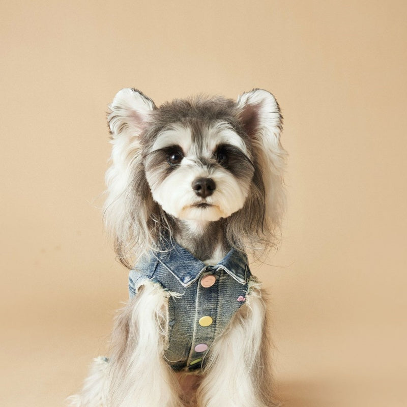 HKM-1632445 Maltese Schnauzer Sleeveless Denim Vest with Embroidered Design for Pets