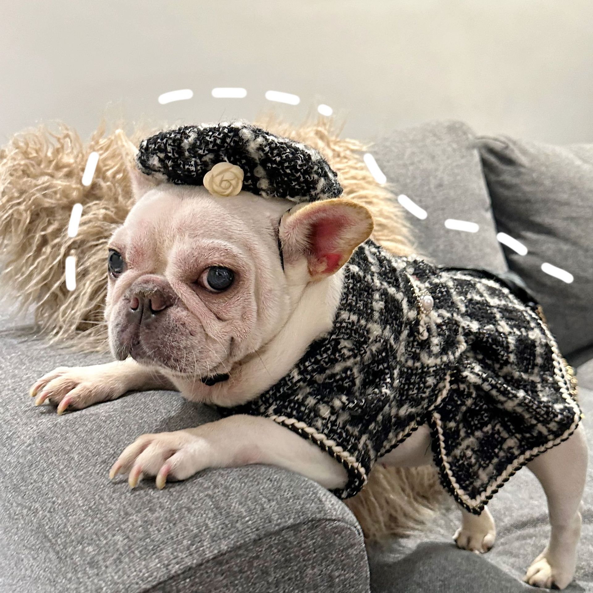 HKM-1632701 Plaid Cashmere Pet Clothing in Black and Red - Free Size (40CM Inner Head Circumference)