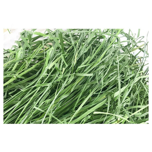 HKM-1633725 Dried Timothy Grass for Small Pets - Chinchillas, Guinea Pigs, Rabbits, 1kg Pack