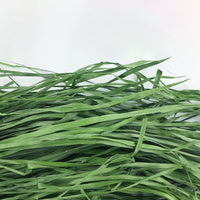 HKM-1633725 Dried Timothy Grass for Small Pets - Chinchillas, Guinea Pigs, Rabbits, 1kg Pack