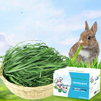 HKM-1633725 Dried Timothy Grass for Small Pets - Chinchillas, Guinea Pigs, Rabbits, 1kg Pack