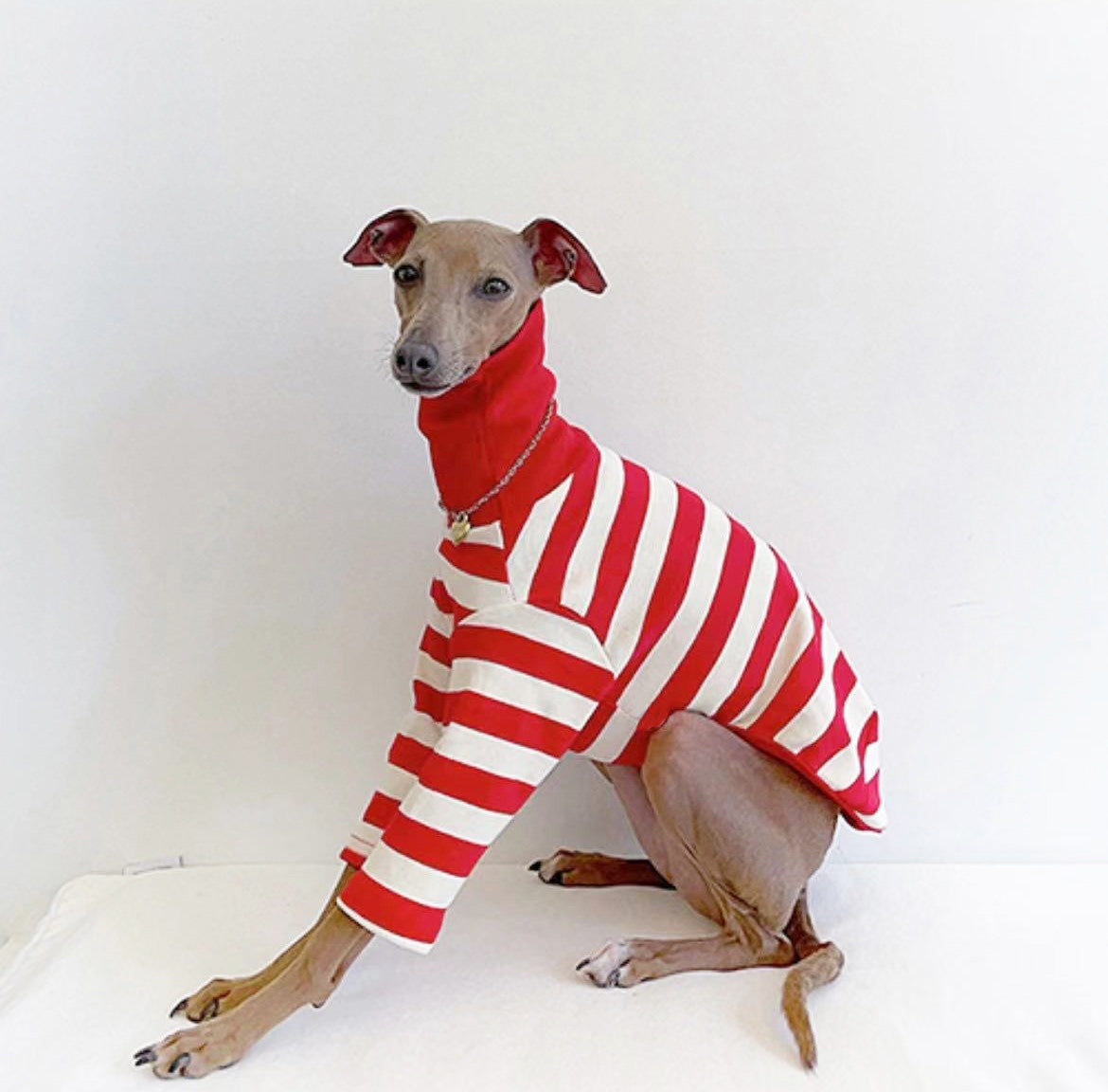 HKM-1639997 High Collar Striped Red and Black Cotton Stretch Dog Outfit for All Seasons