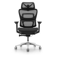 HKM-164243 Ergonomic High-Back Executive Office Chair with Aluminium Lift for Comfort and Style
