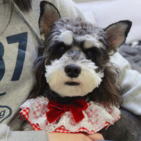 HKM-1646781 Cute Triangle Scarf for Dogs and Cats – Red Accessory in Various Sizes
