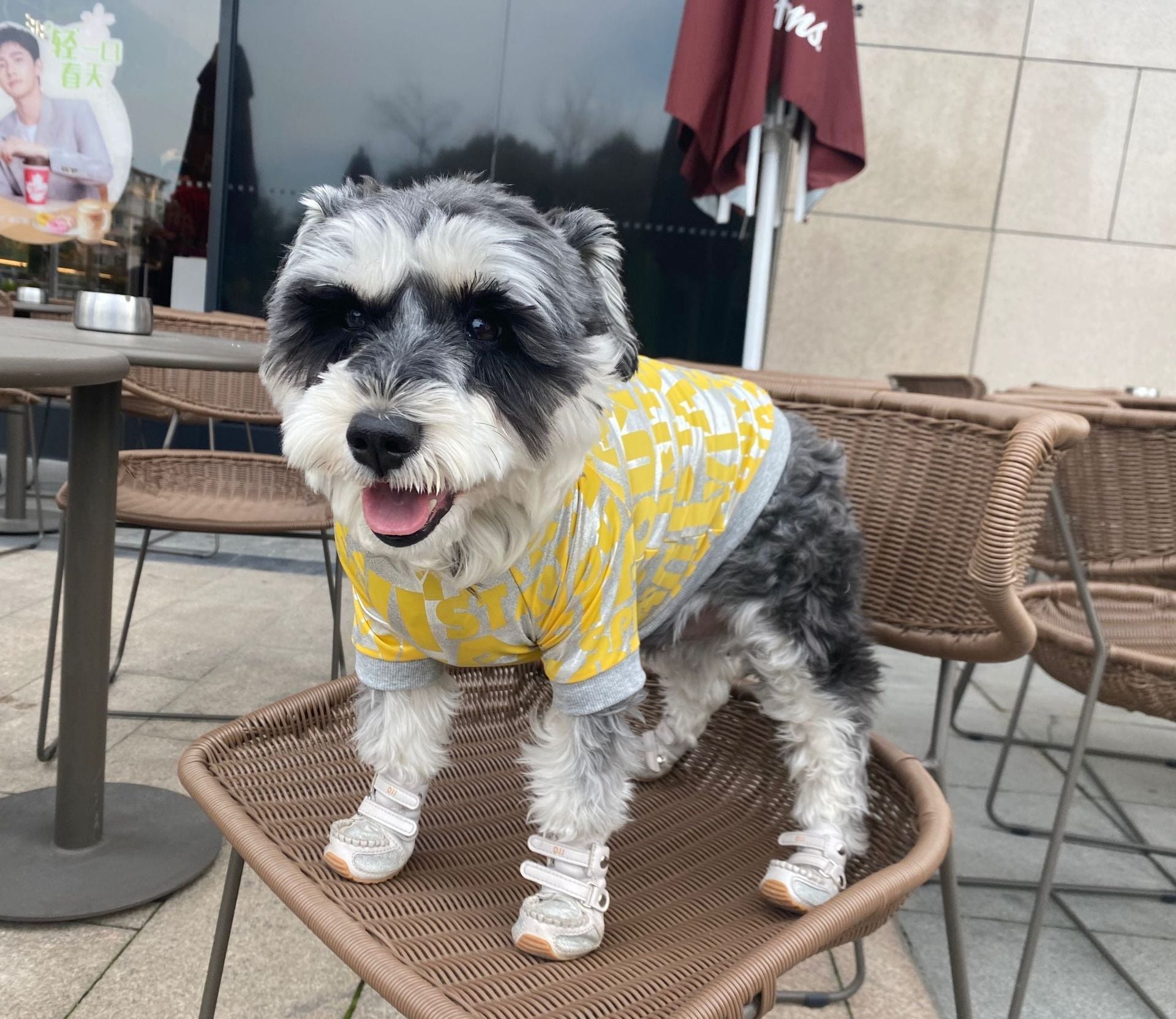 HKM-1649725 Dog Tide Spring Summer T-shirt for Pets ¨C Polyester, Rose Red & Yellow, Sizes S-XL