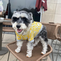 HKM-1649725 Dog Tide Spring Summer T-shirt for Pets ¨C Polyester, Rose Red & Yellow, Sizes S-XL