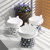 HKM-1655101 Ceramic Anti-Overturning Double Bowl for Pets, 300ml Capacity, Easy to Clean
