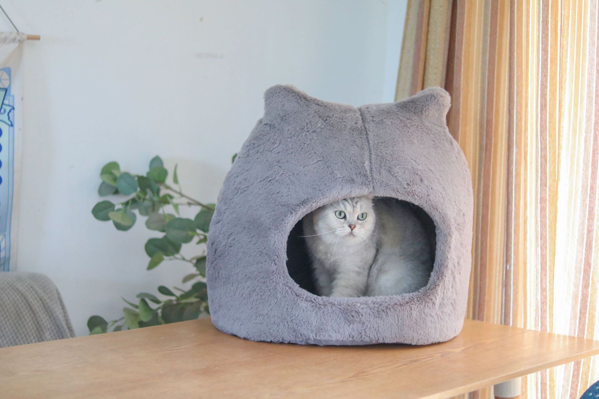 HKM-1658941 Cozy Cat Nest for Autumn and Winter ¨C Removable, Washable, Semi-Closed Design with Cat Ears, Universal for All Seasons