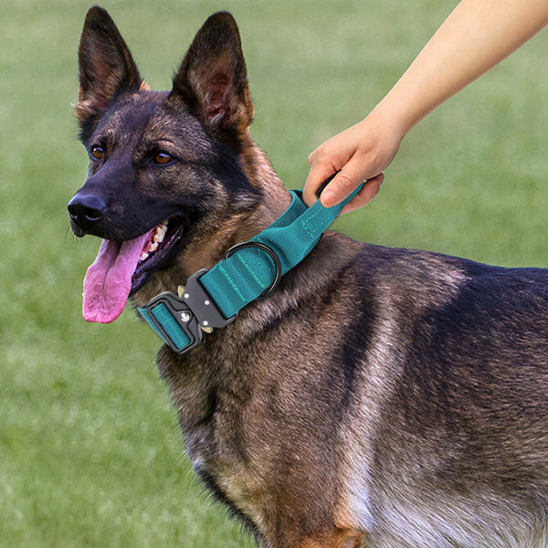 HKM-1660477 Durable Explosion-Proof Dog Collar for Medium to Large Breeds - Adjustable Nylon Design in Assorted Colors