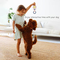 HKM-1662141 Durable Interactive Dog Chew Toy Set for Large Breeds - Squeaky Dental Toys for Oral Health