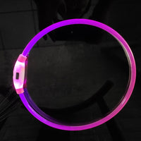 HKM-1662653 Shiny Anti-Lost Dog Collar with USB Charging - Available in Multiple Colors