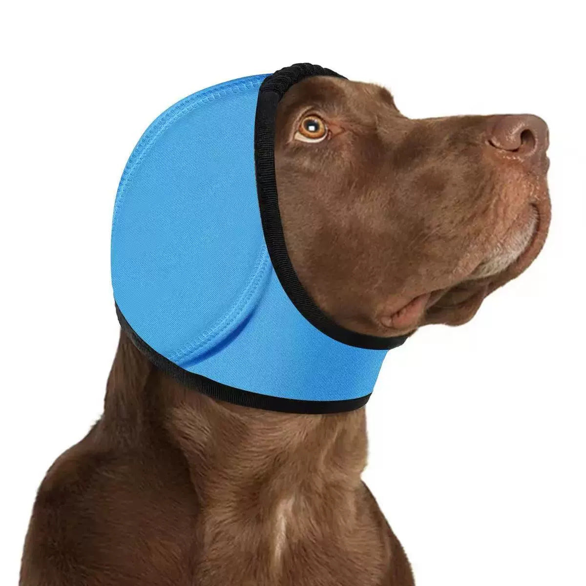 HKM-1665469 Swim-Proof Cotton Head Cover for Dogs - Casual Solid Color Design