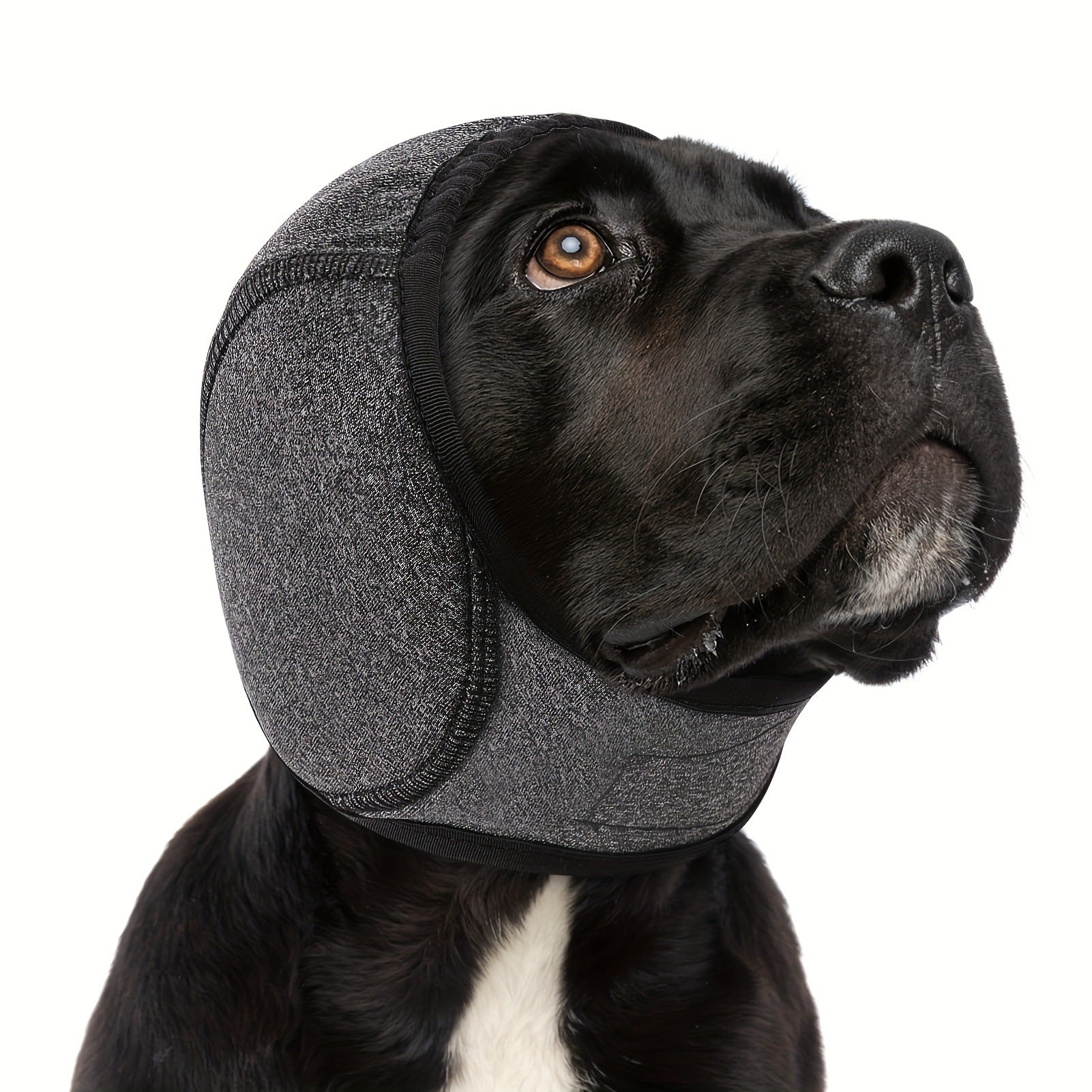 HKM-1665469 Swim-Proof Cotton Head Cover for Dogs - Casual Solid Color Design
