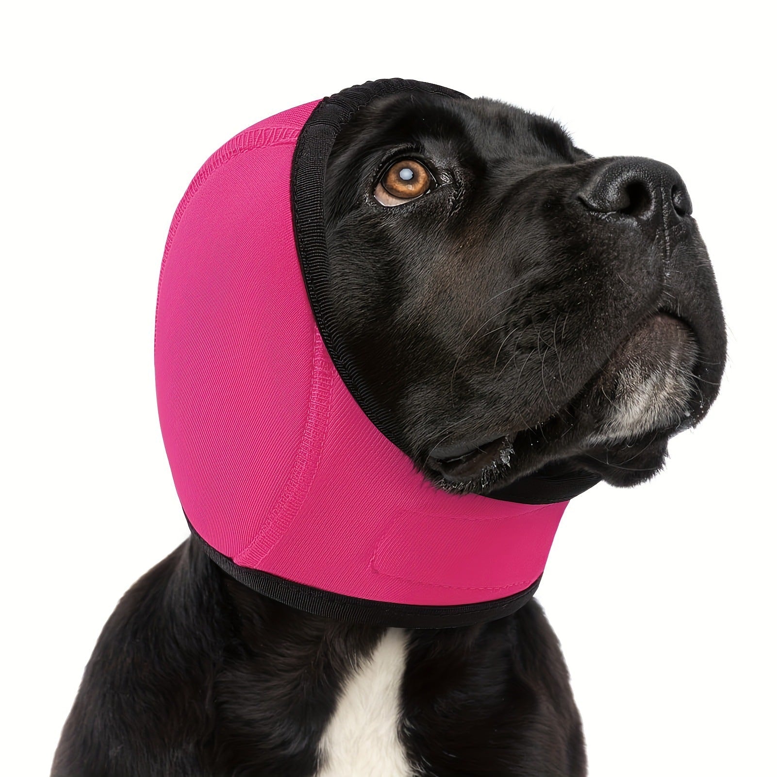 HKM-1665469 Swim-Proof Cotton Head Cover for Dogs - Casual Solid Color Design