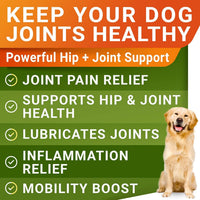 HKM-1666493 Hip & Joint Health Supplement for Dogs - 120 Chews with Glucosamine, Chondroitin, MSM & Hyaluronic Acid