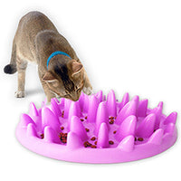HKM-1667901 Interactive Non-Slip Cat and Dog Slow Feeder Bowl - Anti-Choking Puzzle Design in Green and Purple