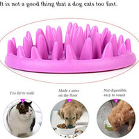 HKM-1667901 Interactive Non-Slip Cat and Dog Slow Feeder Bowl - Anti-Choking Puzzle Design in Green and Purple