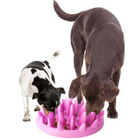 HKM-1667901 Interactive Non-Slip Cat and Dog Slow Feeder Bowl - Anti-Choking Puzzle Design in Green and Purple