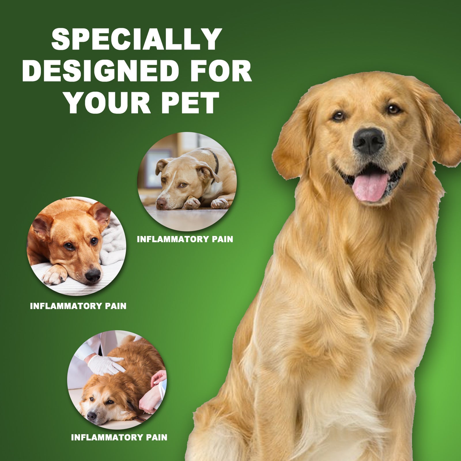 HKM-1668285 Pet Pain Relief Drops - 60ml Formula with Natural Extracts for Discomfort Relief