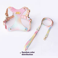 HKM-1675453 Colorful Leather Cat Harness with Pulling Rope - Available in Various Colors and Sizes