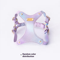 HKM-1675453 Colorful Leather Cat Harness with Pulling Rope - Available in Various Colors and Sizes