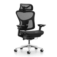 HKM-167699 Ergonomic High Back Mesh Executive Office Chair - BIFMA Certified Comfort Design