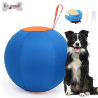 HKM-168275 Shiba Inu & Corgi Fun Training Self-Hi Ball - Blue & Orange Polyester Dog Toy
