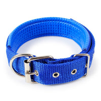 HKM-1683901 Soft Leather Lined Nylon Pet Collar with Polypropylene Foam - Multiple Sizes Available