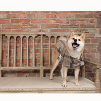 HKM-1686077 Casual Slim Fit Cotton Windbreaker for Small Dogs in Beige and Grey