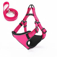 HKM-1689149 Soft and Breathable Nylon Dog Walking Rope with Vest-Style Design