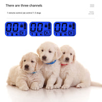 HKM-1689661 Multifunctional Electric Shock Collar with Remote Control and LED Display, Waterproof Dog Training Device