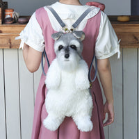 HKM-169427 Schnauzer Backpack Doll with Trendy Scarves for Youth