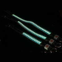 HKM-1695421 Luminous Skull Patterned Nylon Collar for All Seasons - Adjustable & Versatile