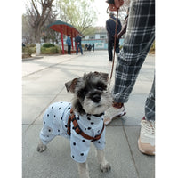 HKM-1695805 Casual Four-Legged Pet Clothing in Various Colors for Comfortable Wear