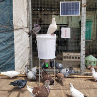 HKM-1697213 Solar-Powered Automatic Chicken and Duck Feeder with Timer and Watertight Design