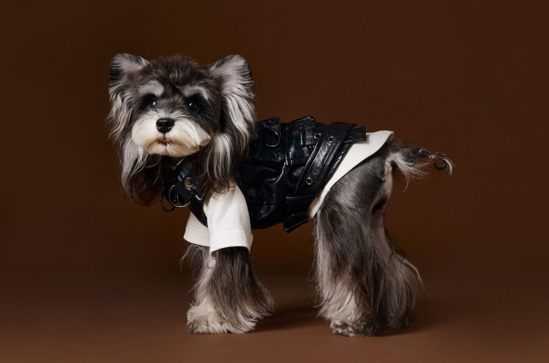 HKM-1697981 Sleeveless Leather Jacket for Pets - Stylish Cargo Pocket Vest in Various Sizes