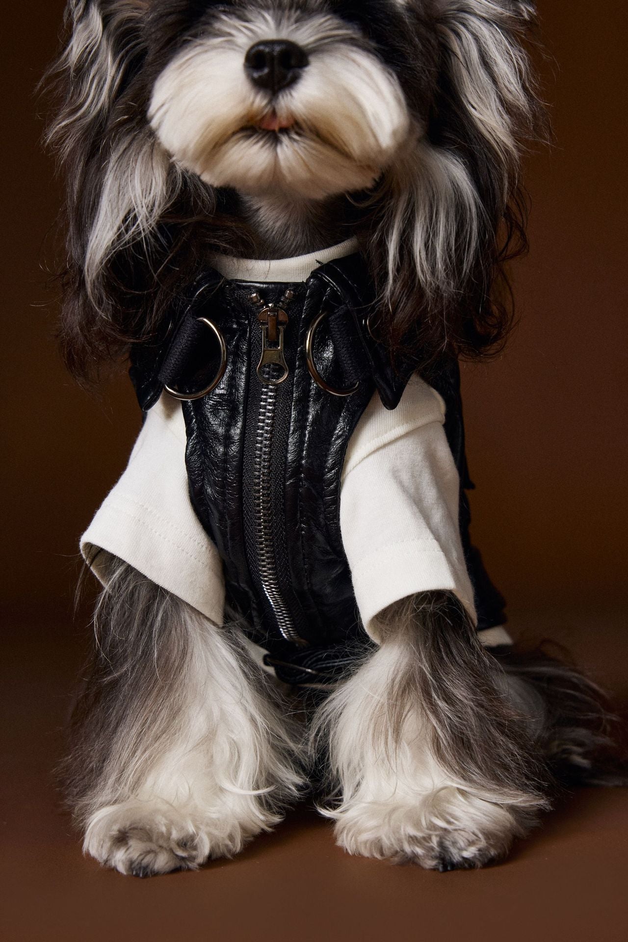 HKM-1697981 Sleeveless Leather Jacket for Pets - Stylish Cargo Pocket Vest in Various Sizes