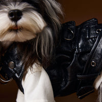 HKM-1697981 Sleeveless Leather Jacket for Pets - Stylish Cargo Pocket Vest in Various Sizes