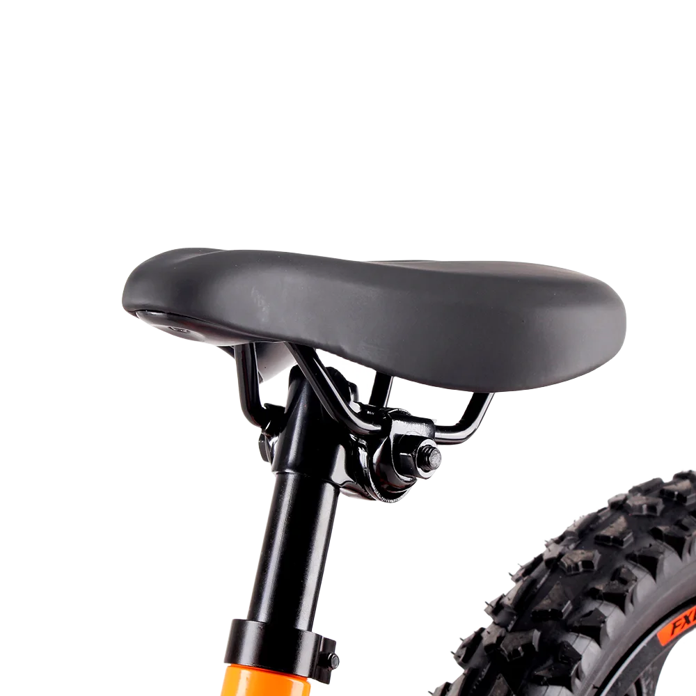 HKM-169811 16-Inch Electric Balance Bike for Children - 250W Motor, Disc Brakes, 60KG Load Capacity, Aluminum Frame