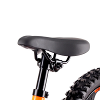 HKM-169811 16-Inch Electric Balance Bike for Children - 250W Motor, Disc Brakes, 60KG Load Capacity, Aluminum Frame