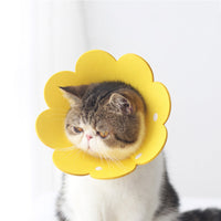 HKM-1698237 Cat Anti-Lick Elizabeth Circle - Sunflower Sponge Paper in Yellow and Pink, Multiple Sizes Available
