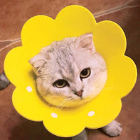 HKM-1698237 Cat Anti-Lick Elizabeth Circle - Sunflower Sponge Paper in Yellow and Pink, Multiple Sizes Available